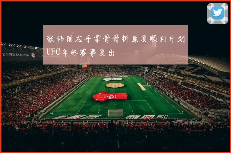 张伟丽右手掌骨骨折康复顺利计划UFC年终赛事复出
